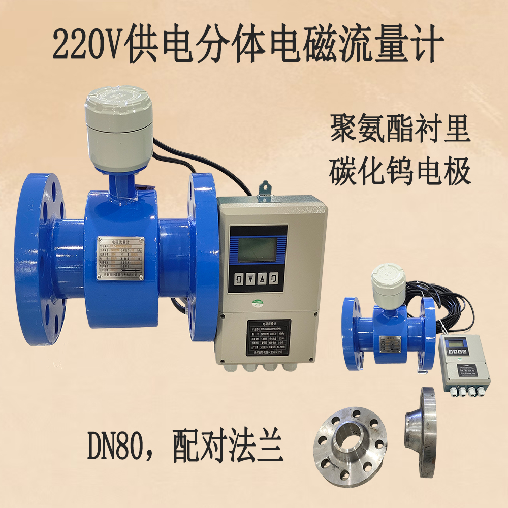 開封百特220V供電分體流量計(jì)，DN80，聚氨酯襯里，碳化鎢電極(含配對(duì)法蘭)   .jpg