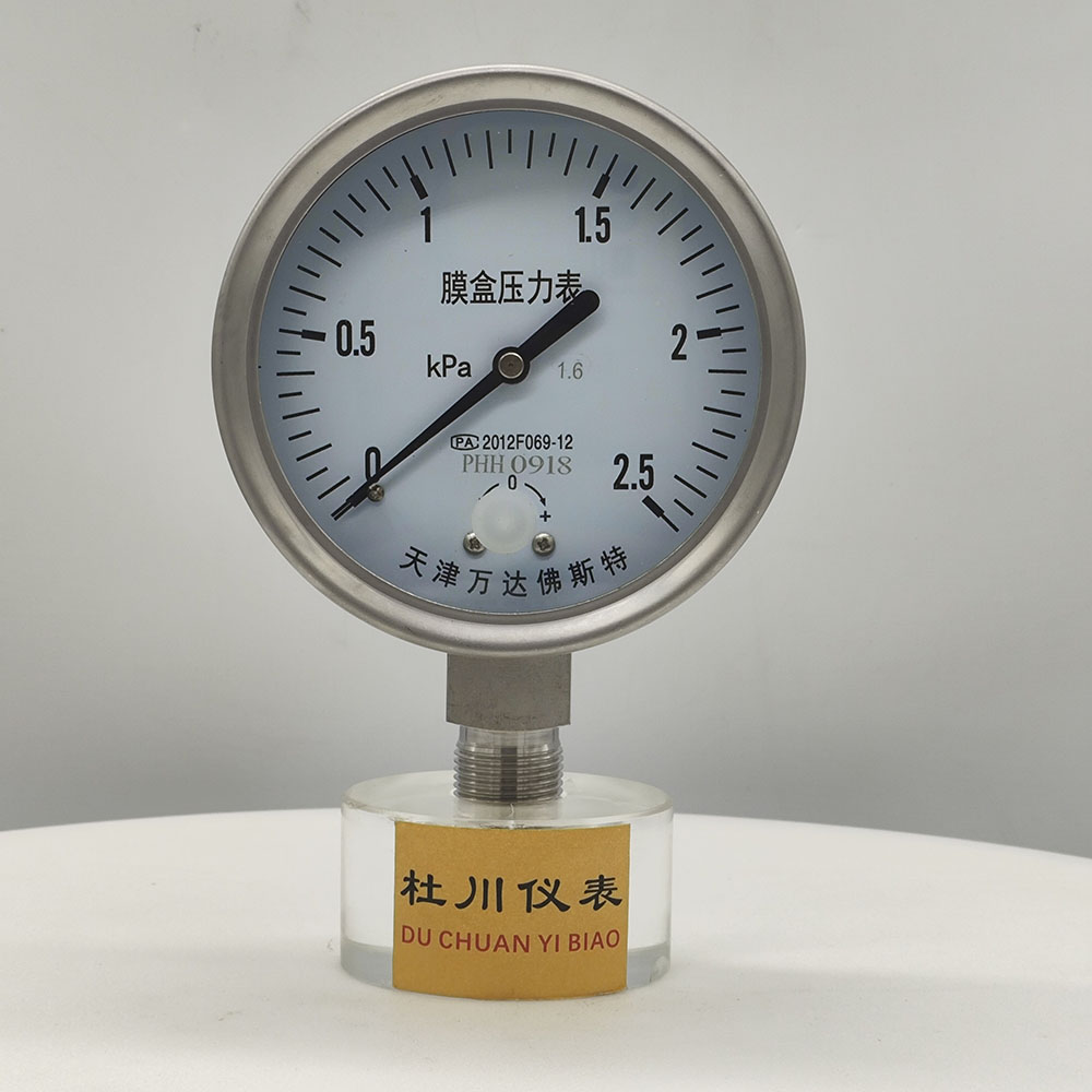 天津萬達(dá)佛斯特YE100BF  ，1.6級，2.5kpa.jpg