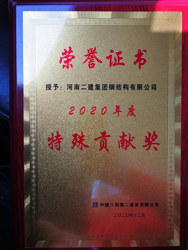 特殊貢獻(xiàn)獎(jiǎng)榮譽(yù)證書(shū) - 副本.jpg